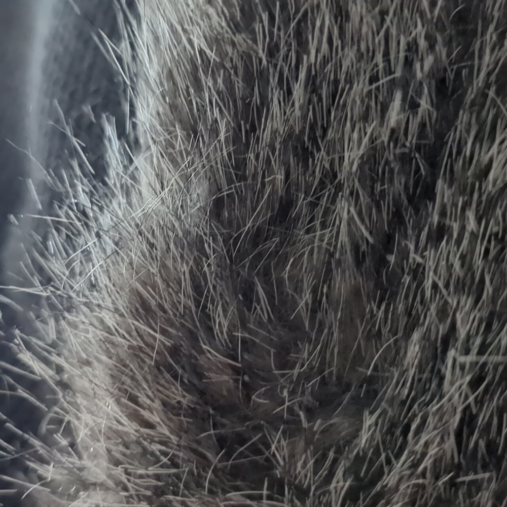 Faux Fur Trimmed Cape - image 3